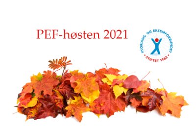 Bilde: PEF-høsten 2021